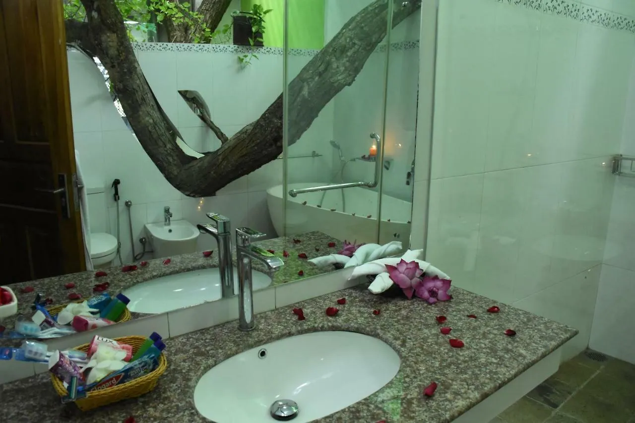 Guest house Colombo Tree House Hotel Nugegoda